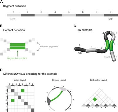 Assessing 2D visual encoding of 3D spatial connectivity